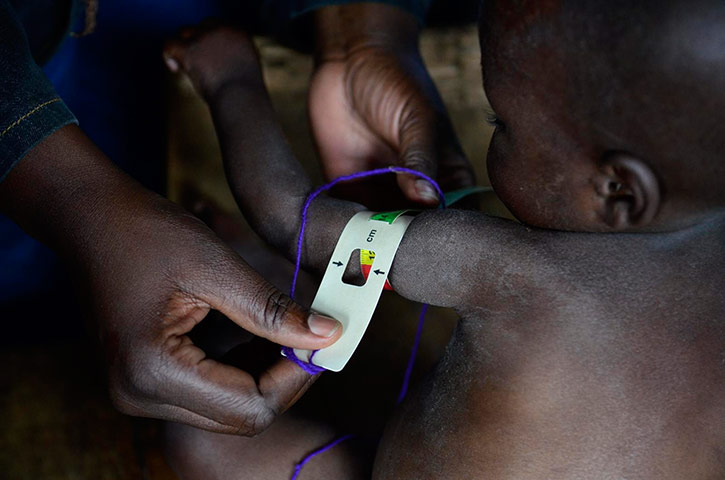 DRC Gorilla Beans: DR Congo’s South Kivu province