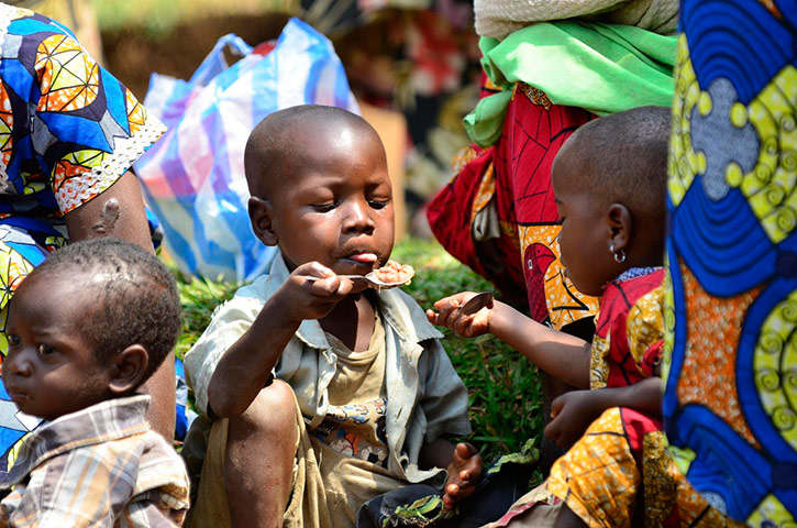 DRC Gorilla Beans: DR Congo’s South Kivu province