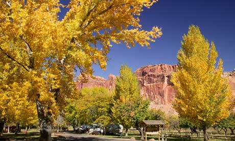 Campground in Fruita Capitol Reef National Park Utah