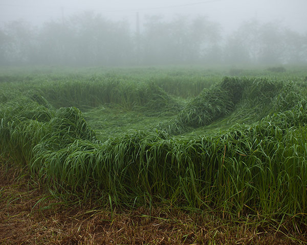 Photo Ireland 2013: Yvette Monahan, from the series 'The Time of Dreaming the World Awake', 201