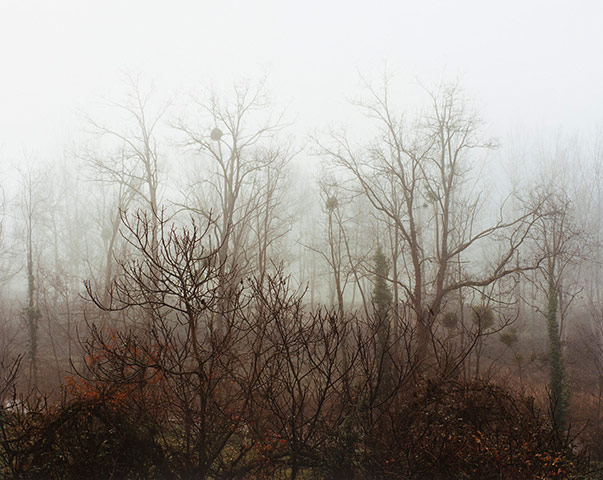 Photo Ireland 2013: Yvette Monahan, from the series The Time of Dreaming the World Awake, 2012