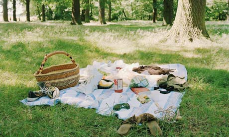 picnic