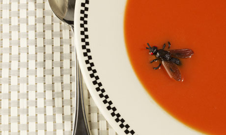 Fly in soup