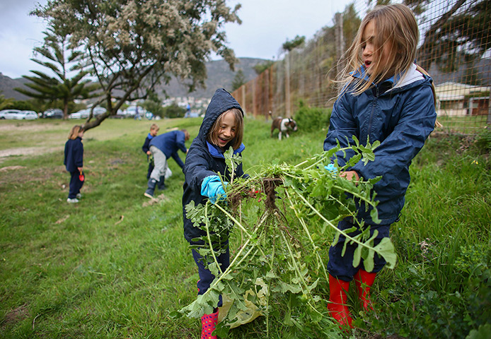 Mandela's birthday: Schoolchildren work in a public park in honour of Nelson Mandela 