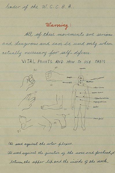 Bruce Lee: Bruce Lee's handwritten and drawn notes on various aspects of martial arts