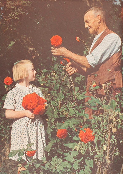 More Mass Observation: John Hinde, From Exmoor Village, 1947