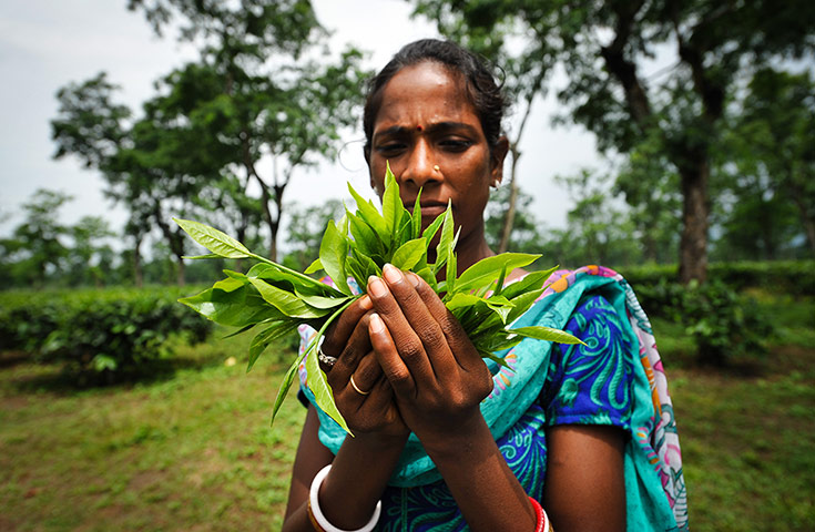 Indian Slavery: Kusma Takri, 27, child trafficker in Laluk