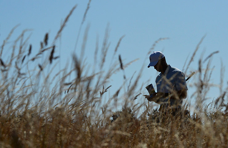 Open Golf : Tiger Woods of the U.S. walks onto the sixth tee during the second round