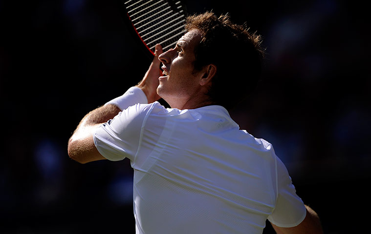 Tom Jenkins Wimbledon 7: Andy Murray watches the ball