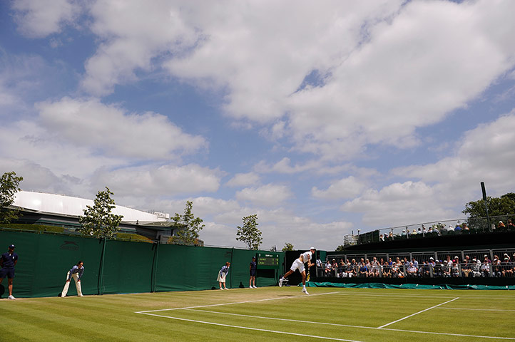 Tom Jenkins Wimbledon 7: Jerzy Janowicz