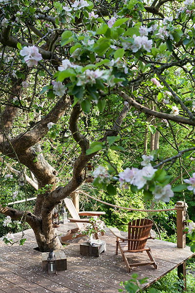  Homes - Bristol House - Decking with blossom 