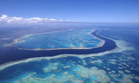 The US military said four unarmed bombs were dropped in the Great Barrier Reef marine park. Photograph: Grant V Faint/Getty