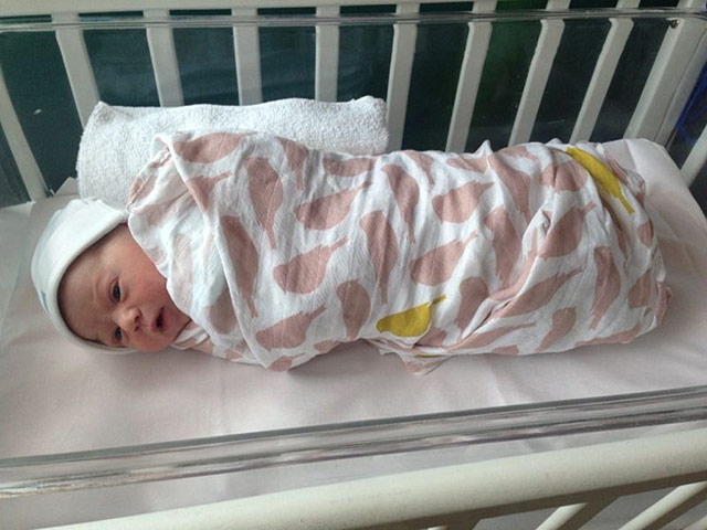 not the royal baby: not the royal baby 10