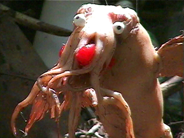 Aquatopia: Alex Bag and Ethan Kramer: Le Cruel et Curieux Vie du la Salmonellapod