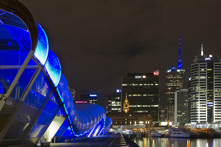 Royal blue: The Sky Tower and Cloud Event Centre lit up bluein anticipation of the roy