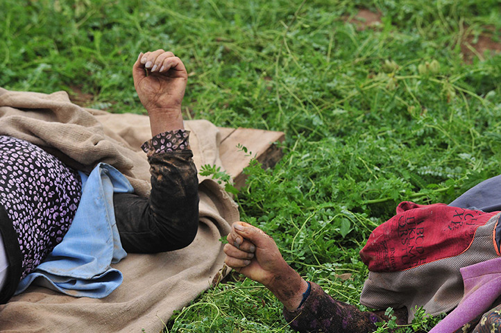 China earthquake: Victims killed by the earthquakes are placed in a clearing 