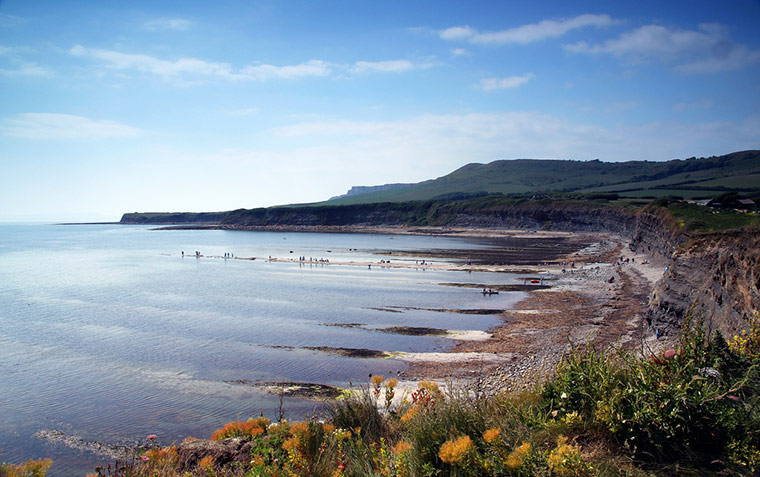 Kimmeridge Bay: Overview