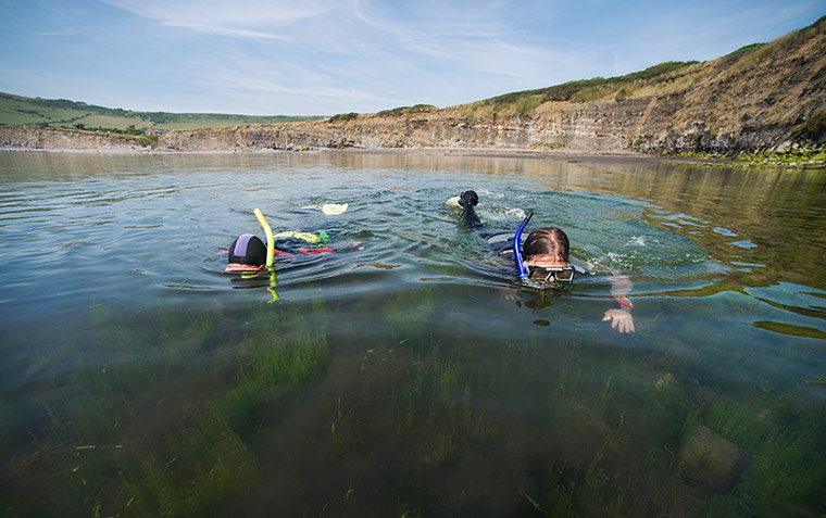 Kimmeridge Bay: Kimmeridge Marine Conservation Zon