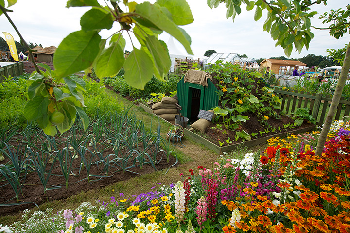 RHS Tatton: The Home Guard-ener designed by Gary Hillery and Ken Walton
