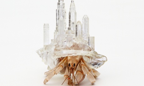 Crabitecture … Aki Inomata's shell based on the Manhattan skyline.