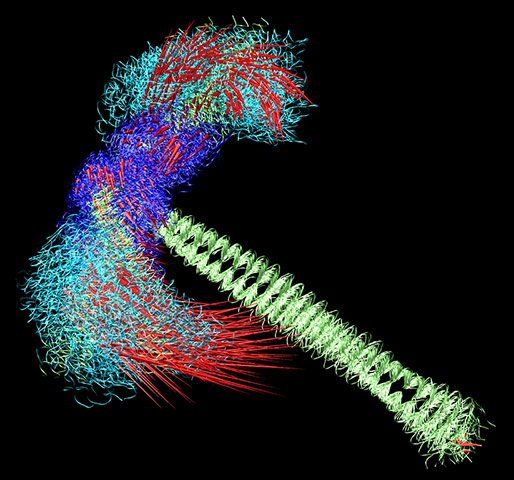 BHF: winners of its Reflections of Research photo competition