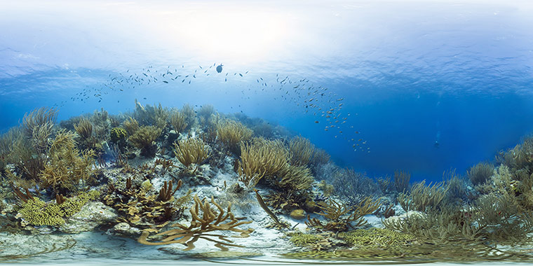 Catlin Seaview Survey: Caribbean Launch