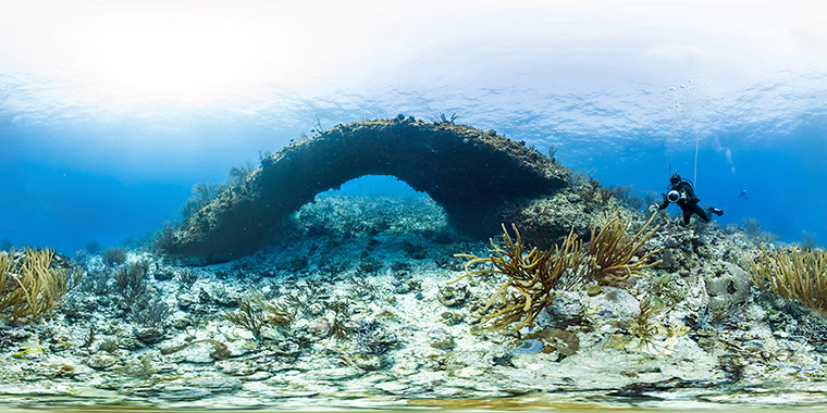 Catlin Seaview Survey: Caribbean Launch