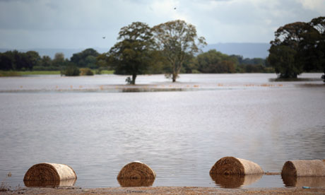 Flood on agricultural land