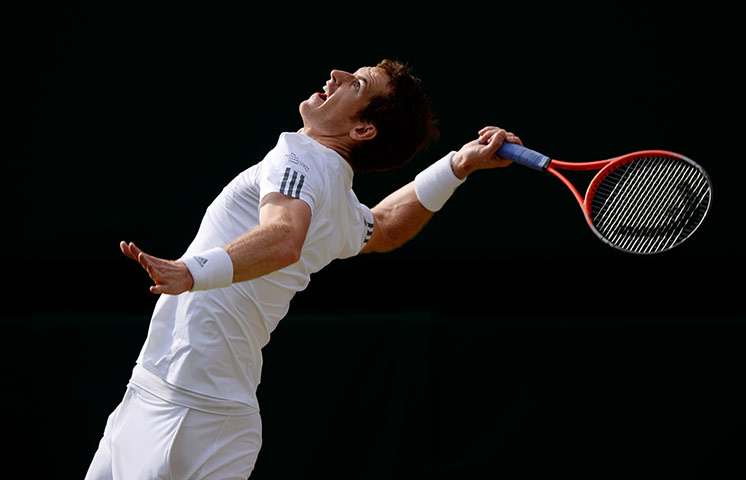 Tom Jenkins Andy Murray: Andy Murray