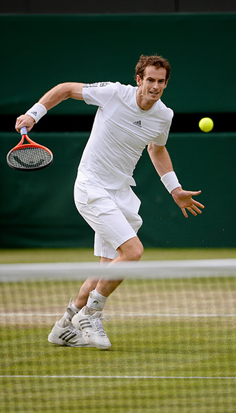 Tom Jenkins Andy Murray: Andy Murray