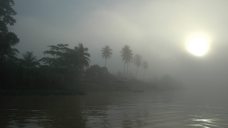 Your Pictures - Tropical: river at dawn with palm trees sun rising 