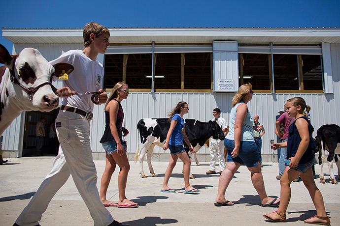 Iowa fair: Iowa's County Fairs