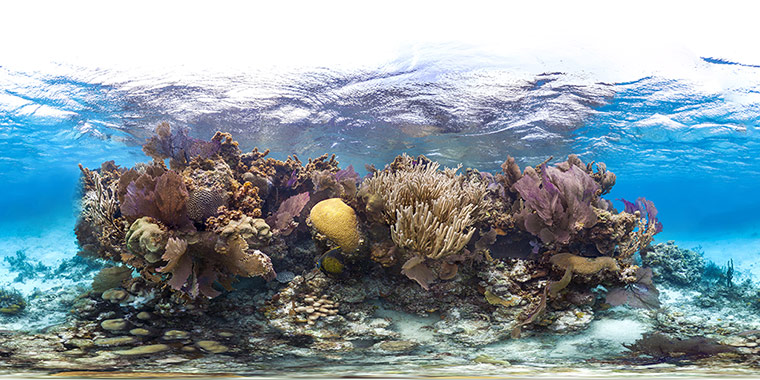 Catlin Seaview Survey: Caribbean Launch