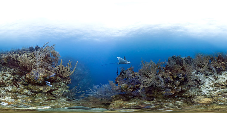 Catlin Seaview Survey: Caribbean Launch