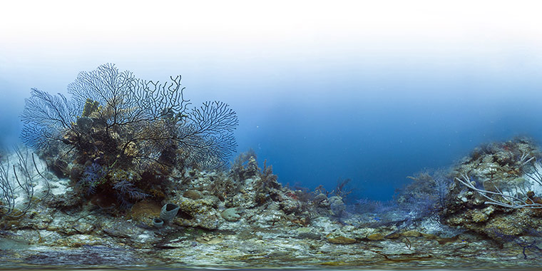 Catlin Seaview Survey: Caribbean Launch