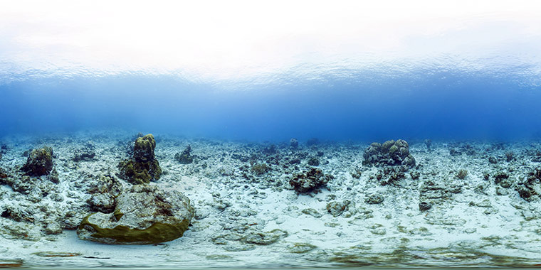 Catlin Seaview Survey: Caribbean Launch