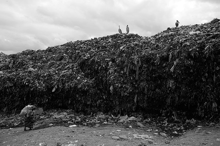 Kenyan Grandmothers: Story of Seventy year old Wairimu Gachenga