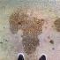 connect4climate: africa puddle