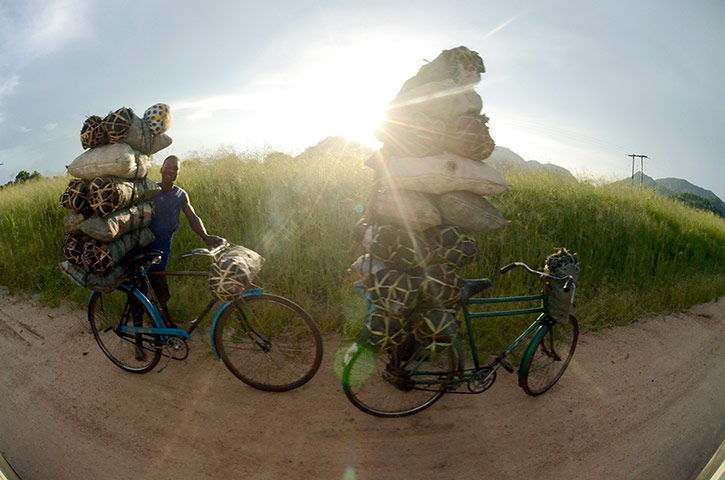 connect4climate: people riding bikes