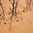 connect4climate: hot dry road
