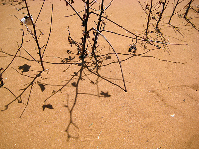 connect4climate: hot dry road