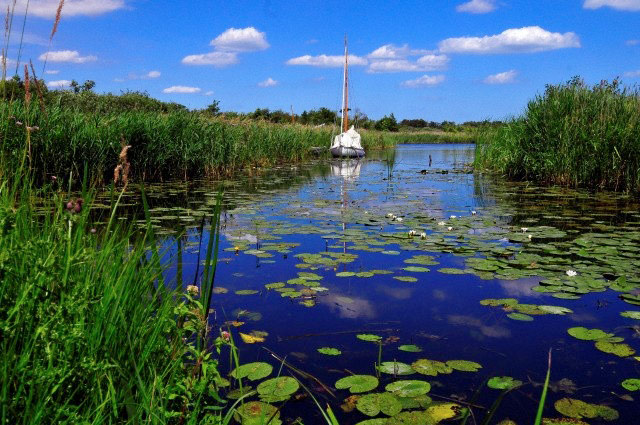 NationalParks: National park 10