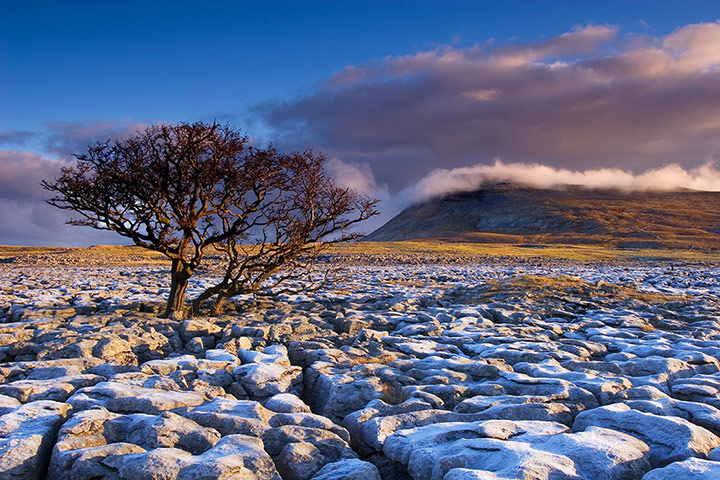 NationalParks: National park 3