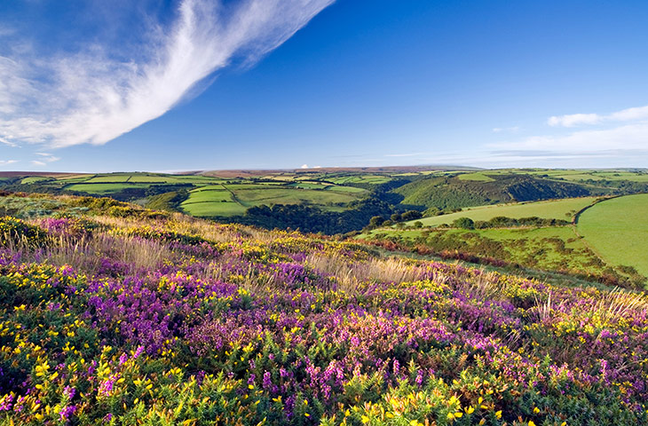 NationalParks: National park 5