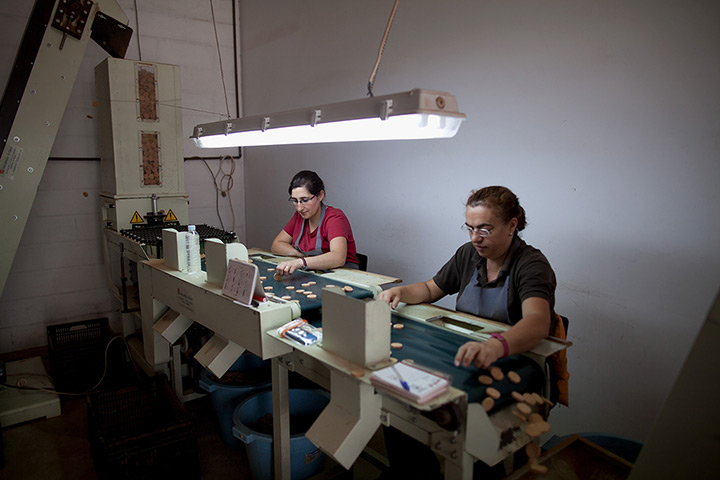 Cork Harvest: Gloria Maria Medina and Cecilia Gil select natural cork washers at a factor