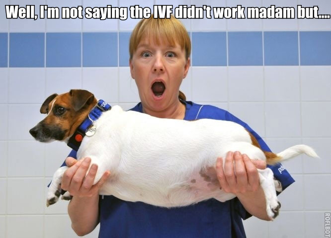 memes: Tom Wrigglesworth