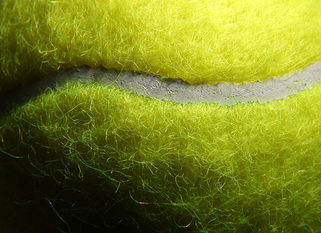 Close up Wimbledon: Fibres on an official tennis ball 