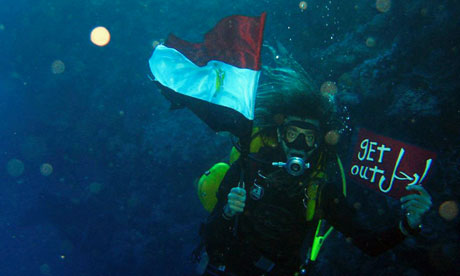 An Egyptian diver participates in an underwater protest off Sharm el-Sheikh