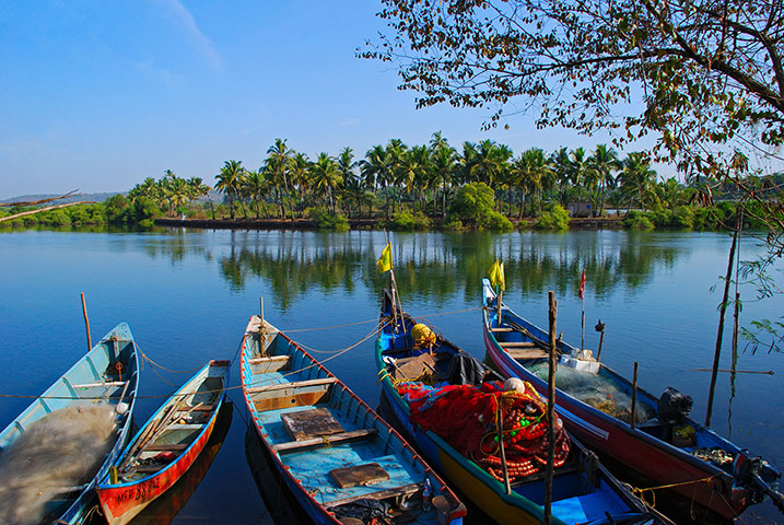 TUI: Goa: TUI: Fishing boats, Mandovi River, Panaji, Goa