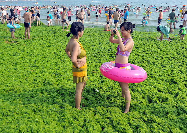 China algae: Two young tourists take photos on a beach
